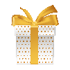 Special Gift Box